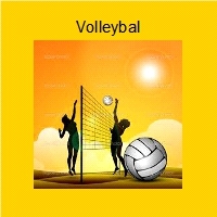 21volleybal